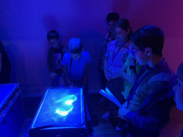 IMG 3973