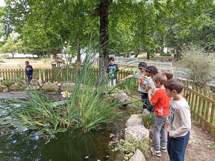 Pequenos Guardiões do Charco em Ação
