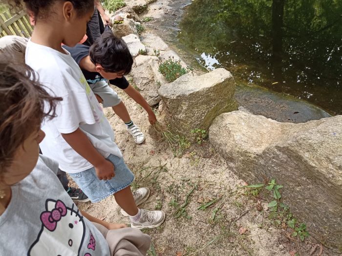 ima charco 1