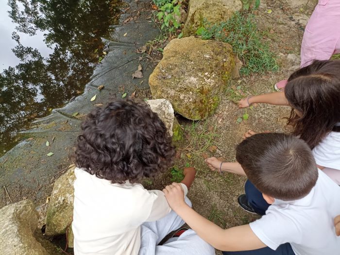 ima charco 1