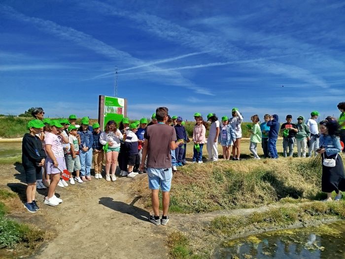 Visita de estudo às salinas e passeio de moliceiro encanta alunos