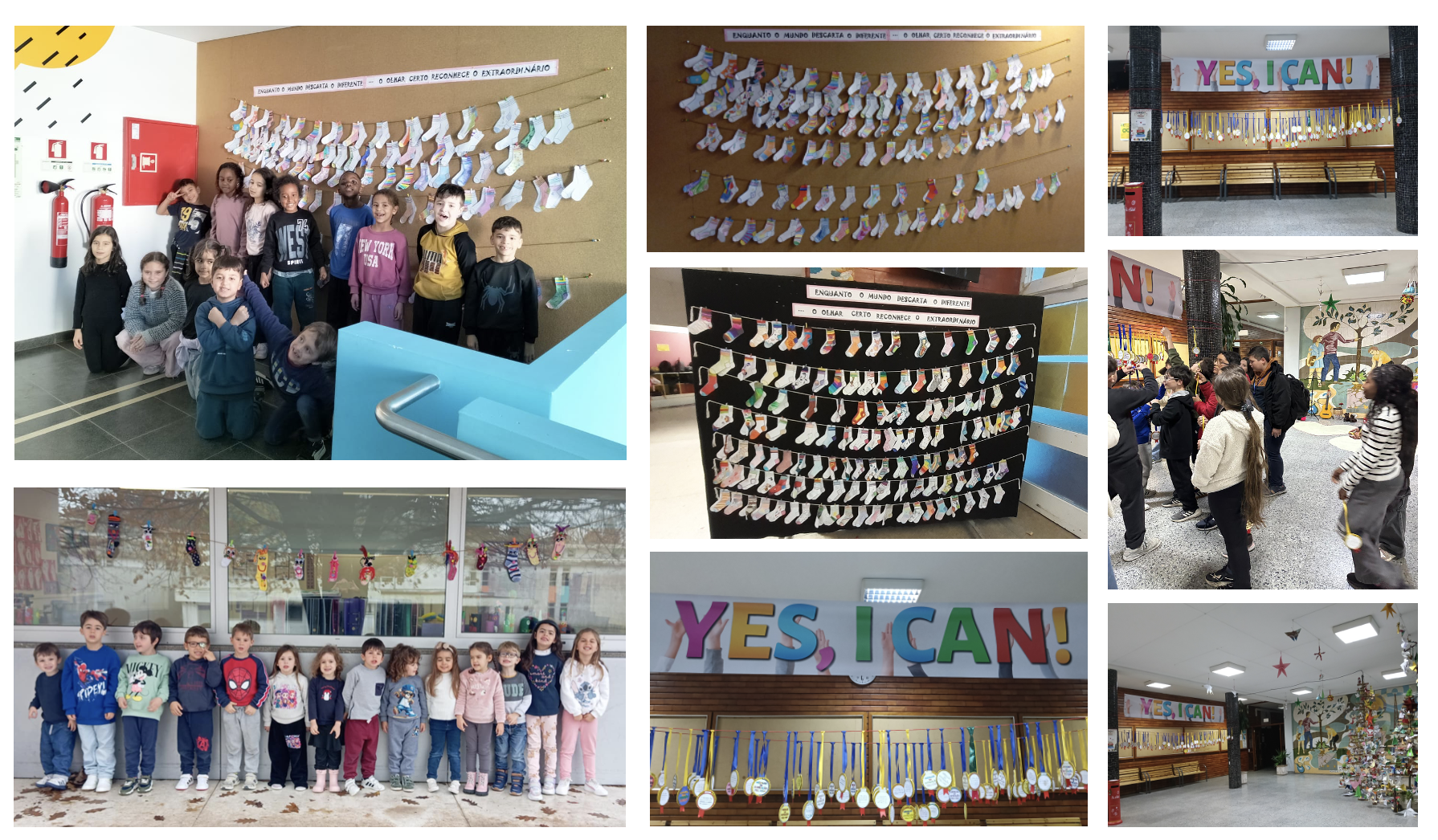 Agrupamento de Escolas Dr. Serafim Leite assinala o Dia Internacional da Pessoa com Defici&ecirc;ncia